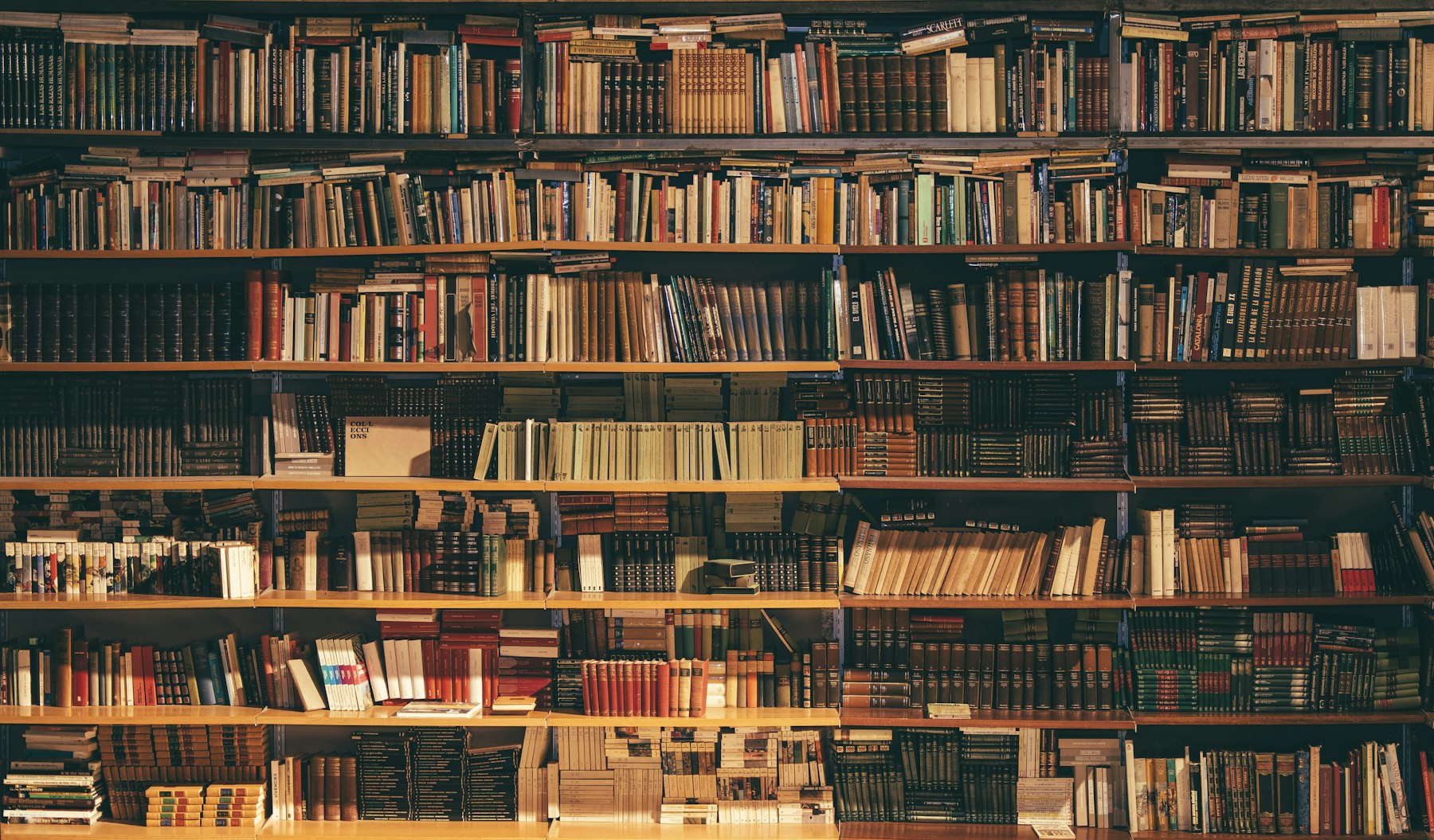 Biblioteca con luz cálida